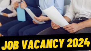 Job Vacancy 2024